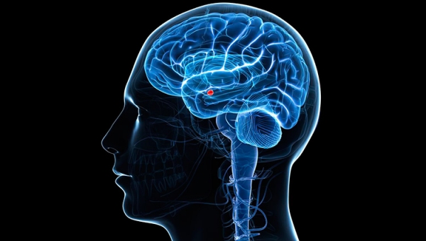 El cerebro de un mentiroso funciona de manera diferente